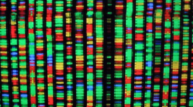 Image Credit: Mario Tama/AFP/Getty Images, via GlobalPost