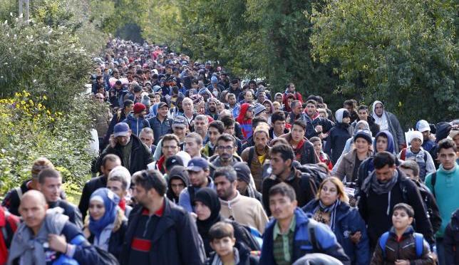 Hungary News | Muslims & Roma